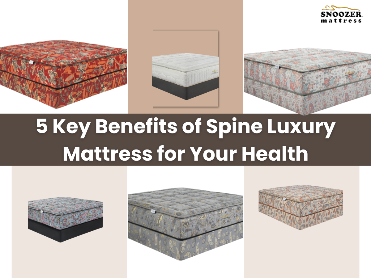 5 Key Benefits of Spine Luxury Mattress for Your Health